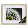 Champagne Gallery Wall Frame With Double Mat By Studio Décor®