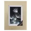 Champagne Gallery Frame With Double Mat By Studio Décor®