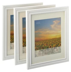 3 White Frames With Mat, 8" X 10", Lifestyles By Studio Décor®