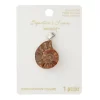 Fossil Shell Pendant By Bead Landing™