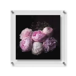 Wexel Art Modern Clear Acrylic Floating Frame With Silver Hardware -Home Sale Store D306833S 1