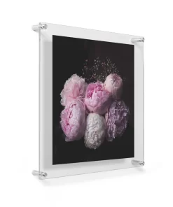Wexel Art Modern Clear Acrylic Floating Frame With Silver Hardware -Home Sale Store D306833S 2