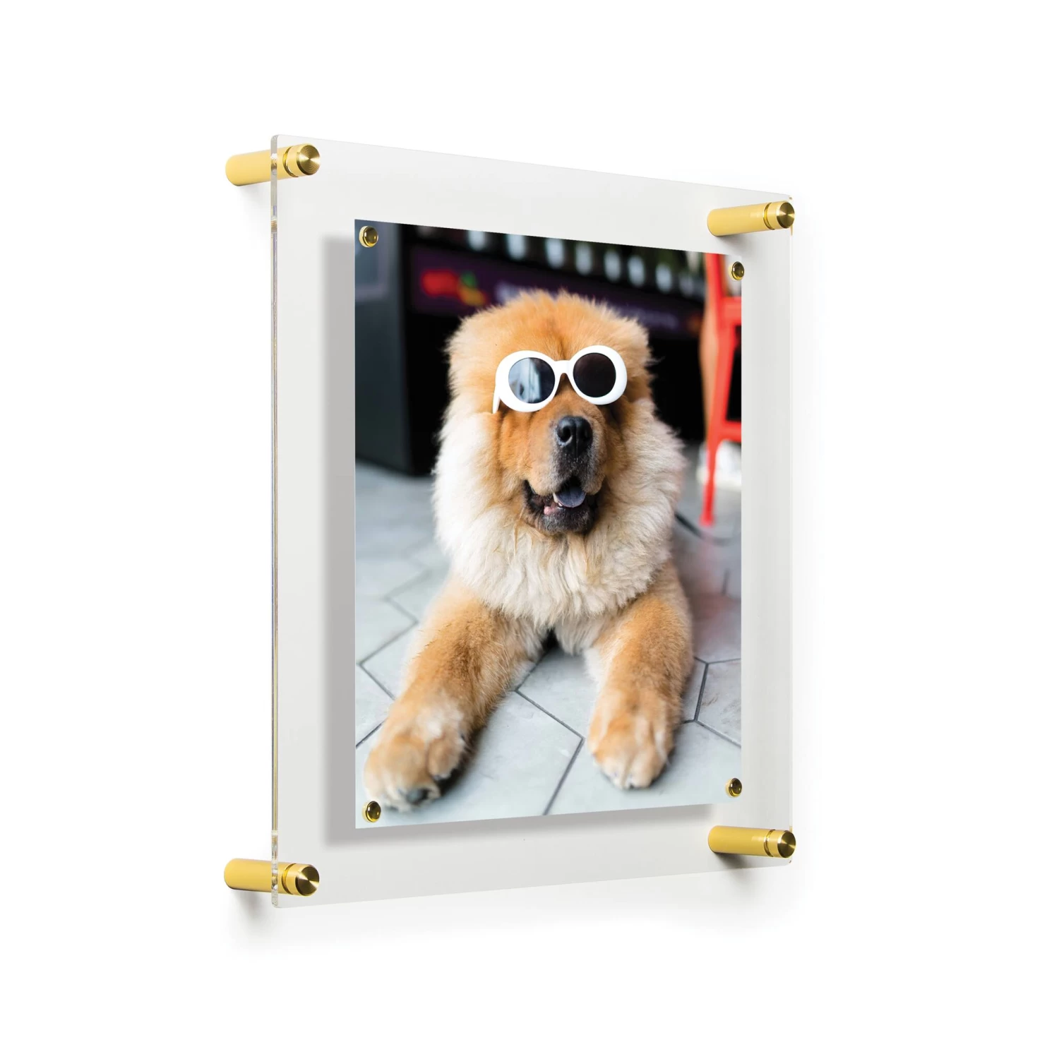 Wexel Art Easy Change Acrylic Floater Frame & Magnets With Gold Hardware 13 Wexel Art Easy Change Acrylic Floater Frame & Magnets With Gold Hardware - Image 13