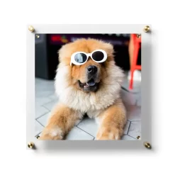 Wexel Art Easy Change Acrylic Floater Frame & Magnets With Gold Hardware 25 Wexel Art Easy Change Acrylic Floater Frame & Magnets With Gold Hardware -Home Sale Store D306889S 1