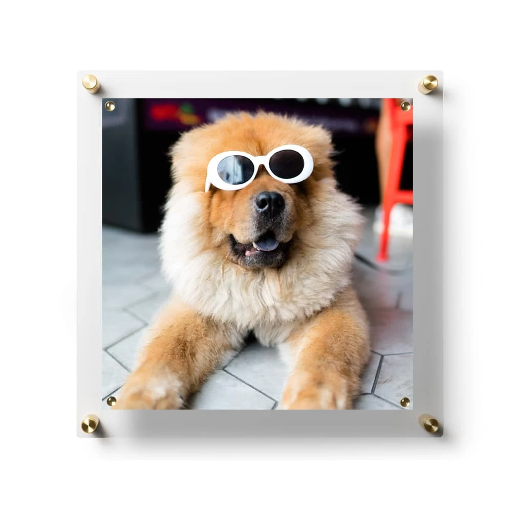 Wexel Art Easy Change Acrylic Floater Frame & Magnets With Gold Hardware 6 Wexel Art Easy Change Acrylic Floater Frame & Magnets With Gold Hardware - Image 6