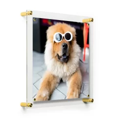 Wexel Art Easy Change Acrylic Floater Frame & Magnets With Gold Hardware 26 Wexel Art Easy Change Acrylic Floater Frame & Magnets With Gold Hardware -Home Sale Store D306889S 2