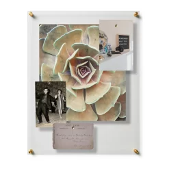 Wexel Art Easy Change Acrylic Floater Frame & Magnets With Gold Hardware 36 Wexel Art Easy Change Acrylic Floater Frame & Magnets With Gold Hardware -Home Sale Store D306896S 3