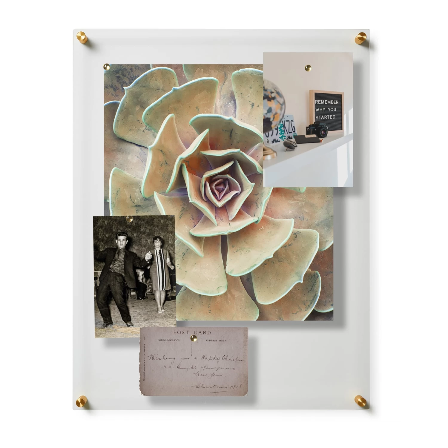 Wexel Art Easy Change Acrylic Floater Frame & Magnets With Gold Hardware 17 Wexel Art Easy Change Acrylic Floater Frame & Magnets With Gold Hardware - Image 17