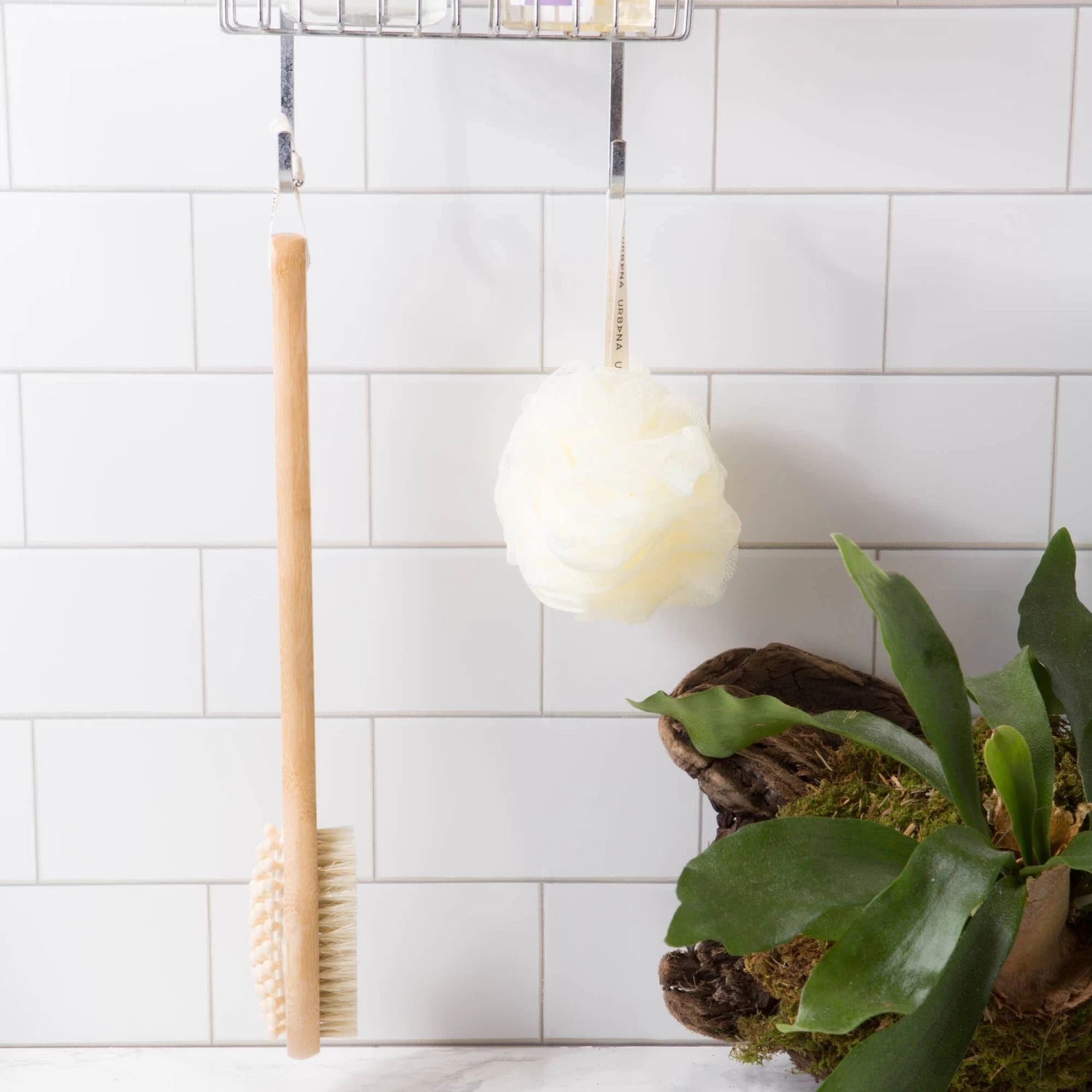 European Soaps Cellulite Brush 2 European Soaps Cellulite Brush - Image 2