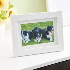 8 Pack: White Frame With Mat, Belmont By Studio Décor® -Home Sale Store MP467528 20 scaled